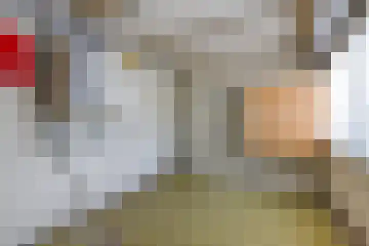 Buorren 15 Elahuizen thumbnail 12