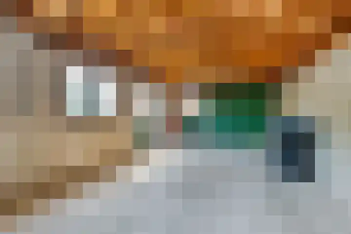 Buorren 15 Elahuizen thumbnail 14