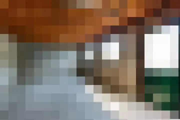 Buorren 15 Elahuizen thumbnail 15
