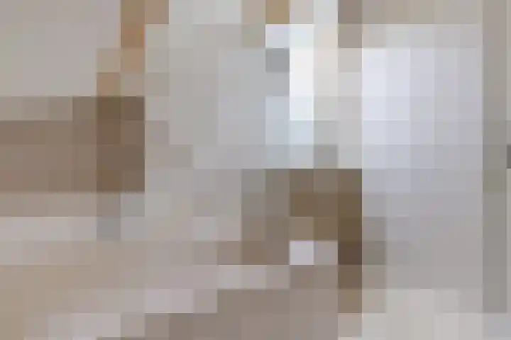 Buorren 15 Elahuizen thumbnail 18