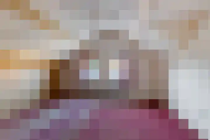 Buorren 15 Elahuizen thumbnail 19