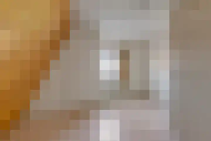 Buorren 15 Elahuizen thumbnail 21