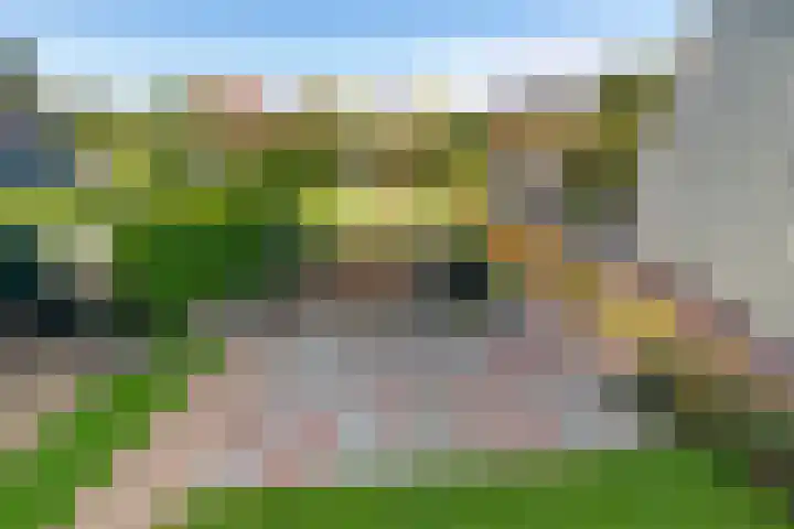 Buorren 15 Elahuizen thumbnail 25