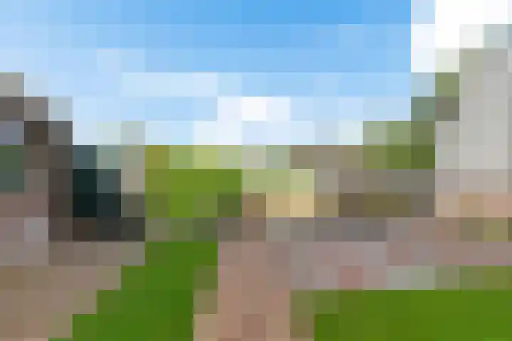 Buorren 15 Elahuizen thumbnail 26