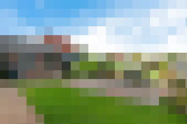 Buorren 15 Elahuizen thumbnail 27