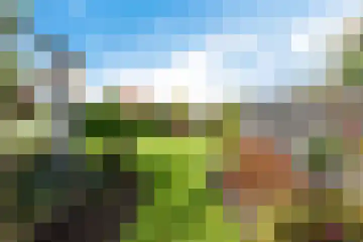 Buorren 15 Elahuizen thumbnail 30