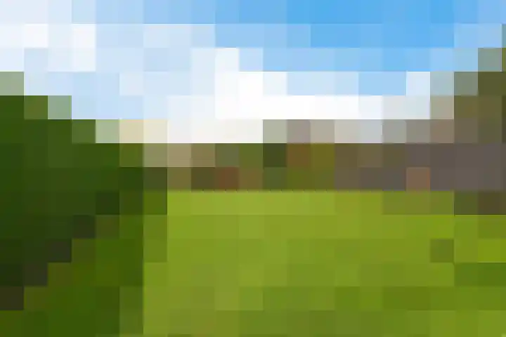 Buorren 15 Elahuizen thumbnail 31