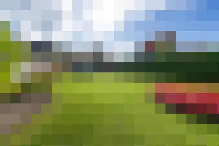 Buorren 15 Elahuizen thumbnail 32
