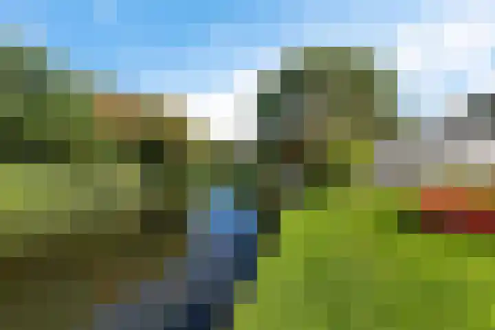 Buorren 15 Elahuizen thumbnail 33