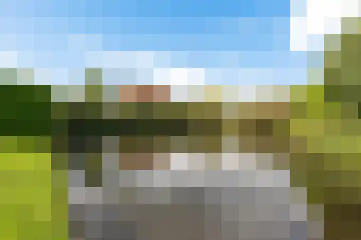 Buorren 15 Elahuizen thumbnail 34