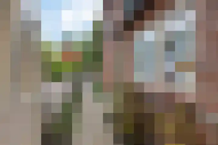 Buorren 15 Elahuizen thumbnail 35