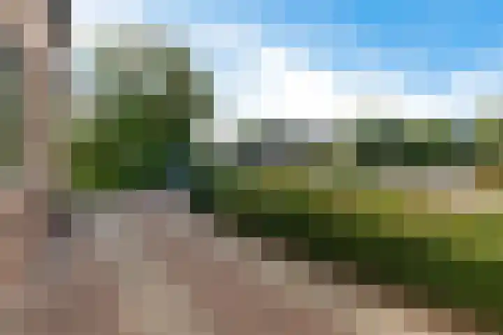Buorren 15 Elahuizen thumbnail 37