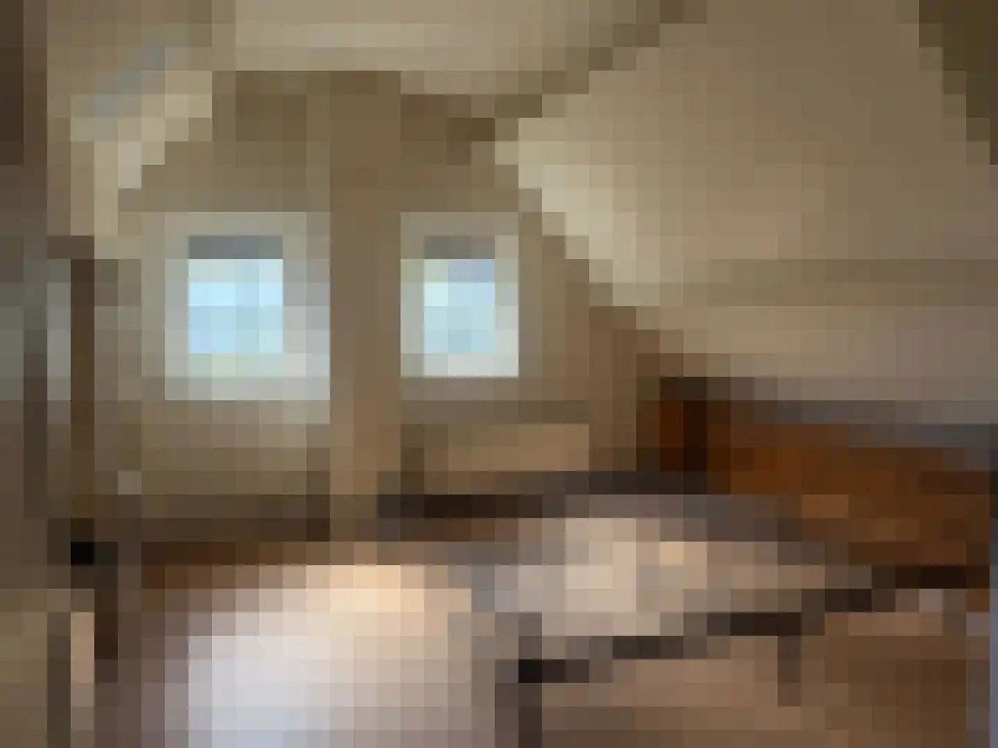 Buorren 15 Warns thumbnail 13