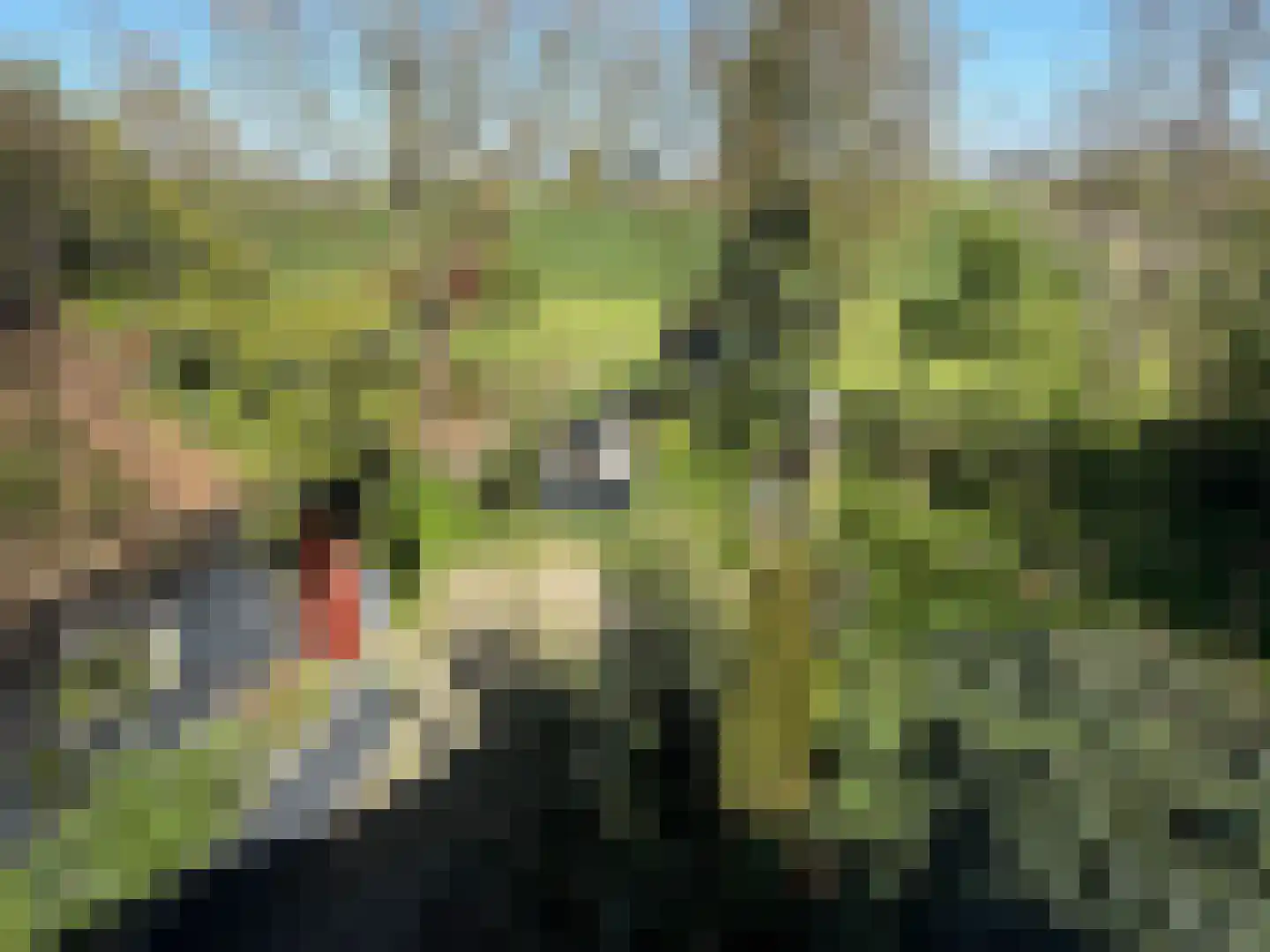 Buorren 15 Warns thumbnail 7