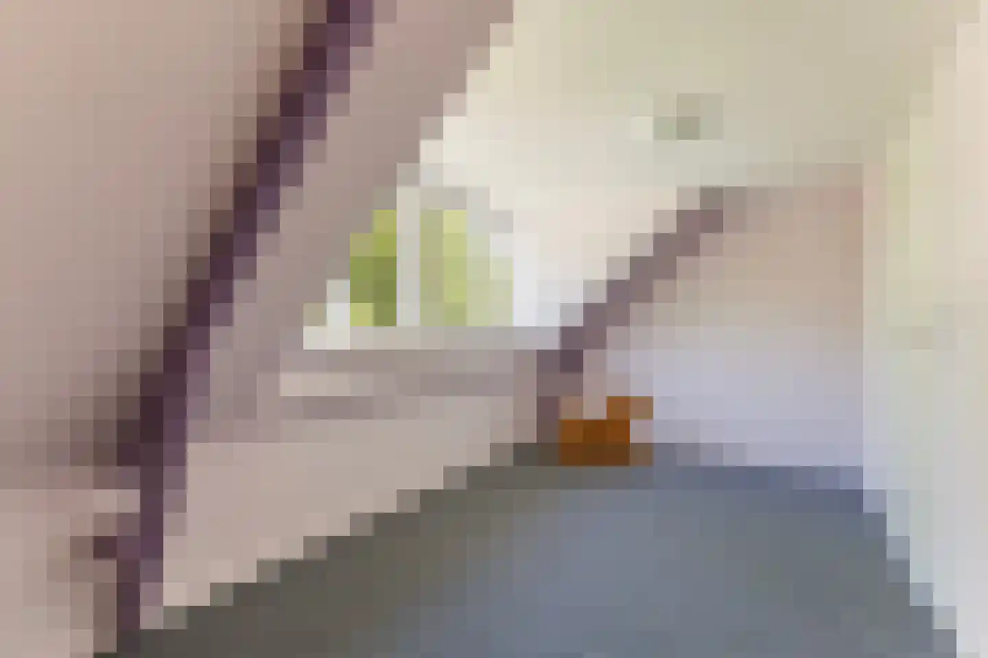 Buorren 16 Bitgum thumbnail 27