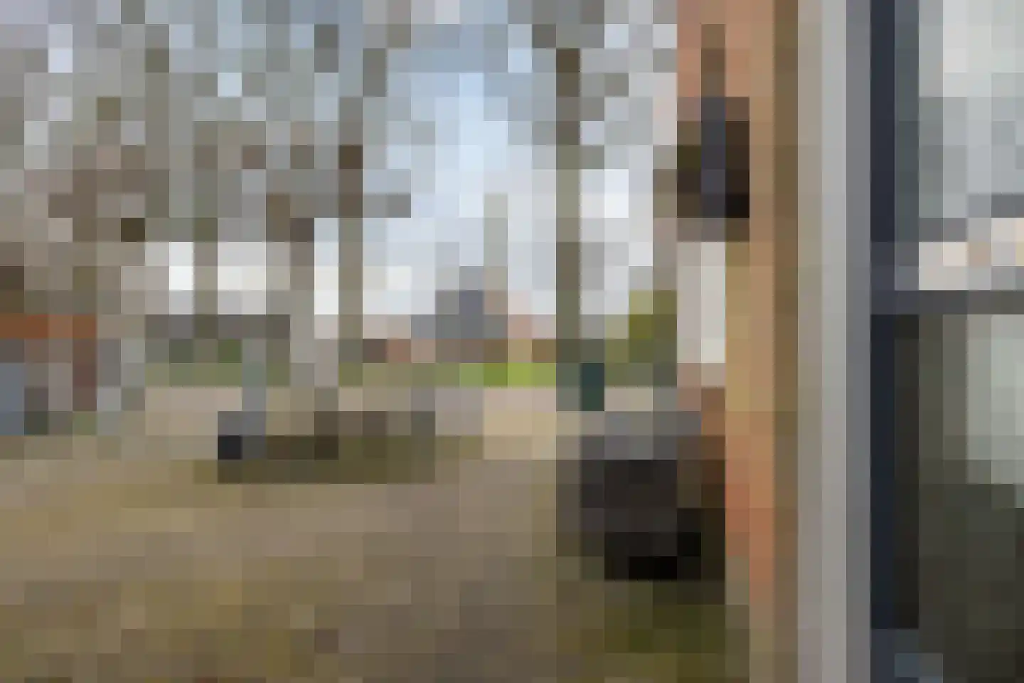 Buorren 17 Langweer thumbnail 42