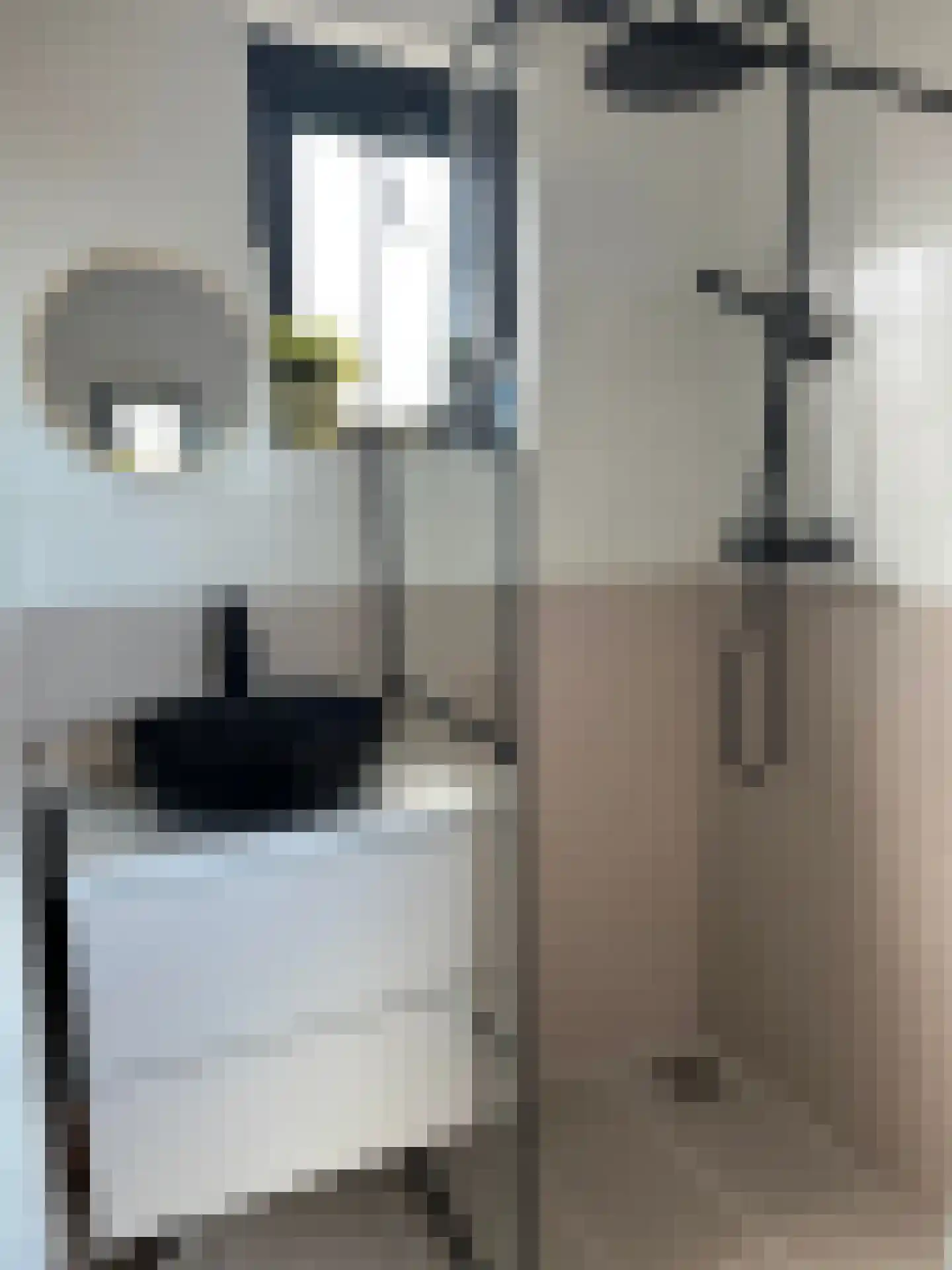 Buorren 17 Langweer thumbnail 54