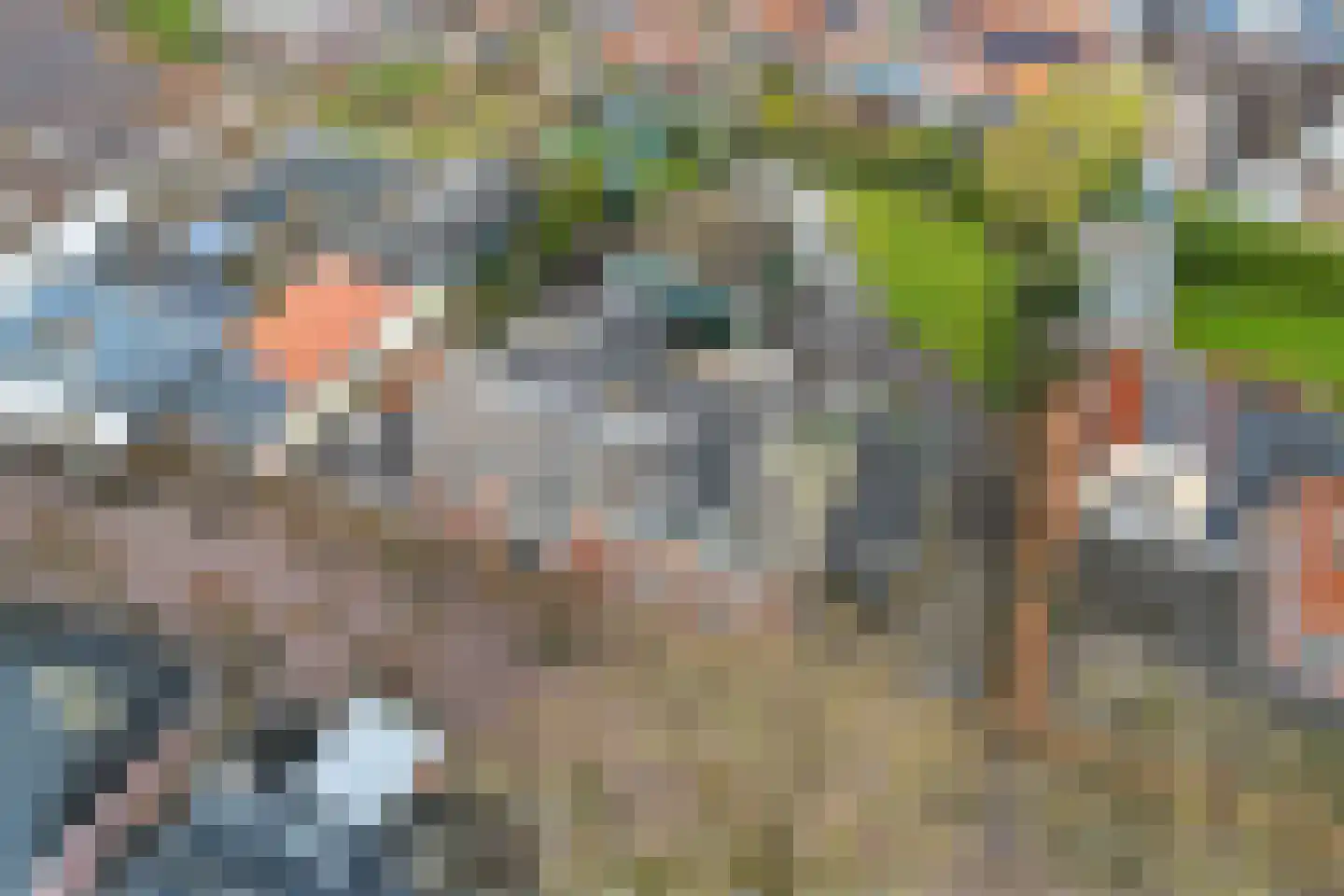 Buorren 17 Langweer thumbnail 62