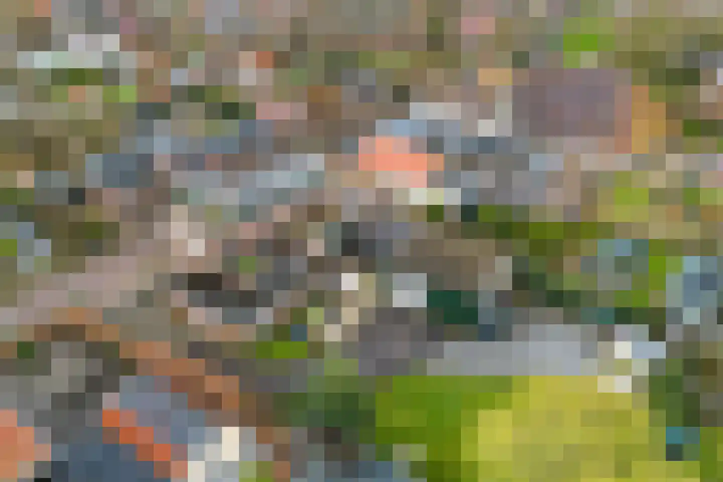 Buorren 17 Langweer thumbnail 63