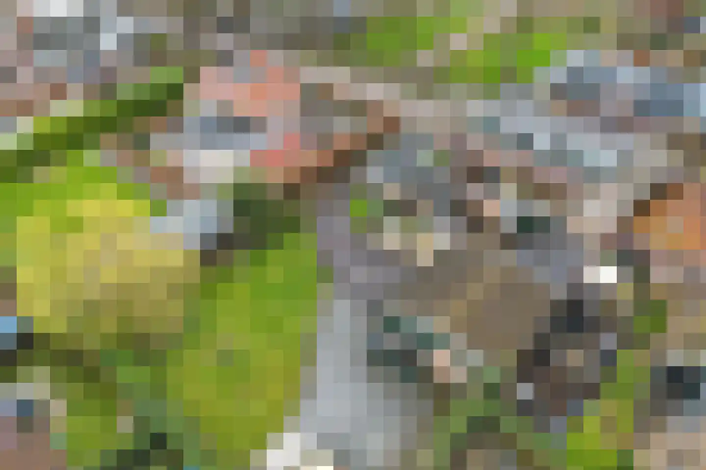 Buorren 17 Langweer thumbnail 64