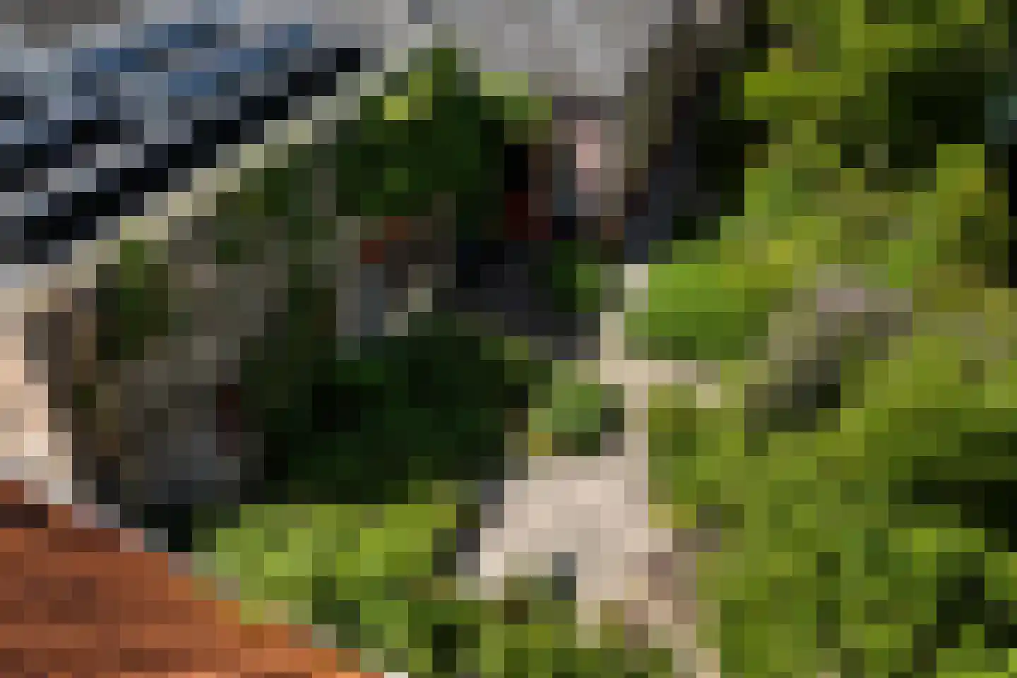 Buorren 17 Wytgaard thumbnail 10