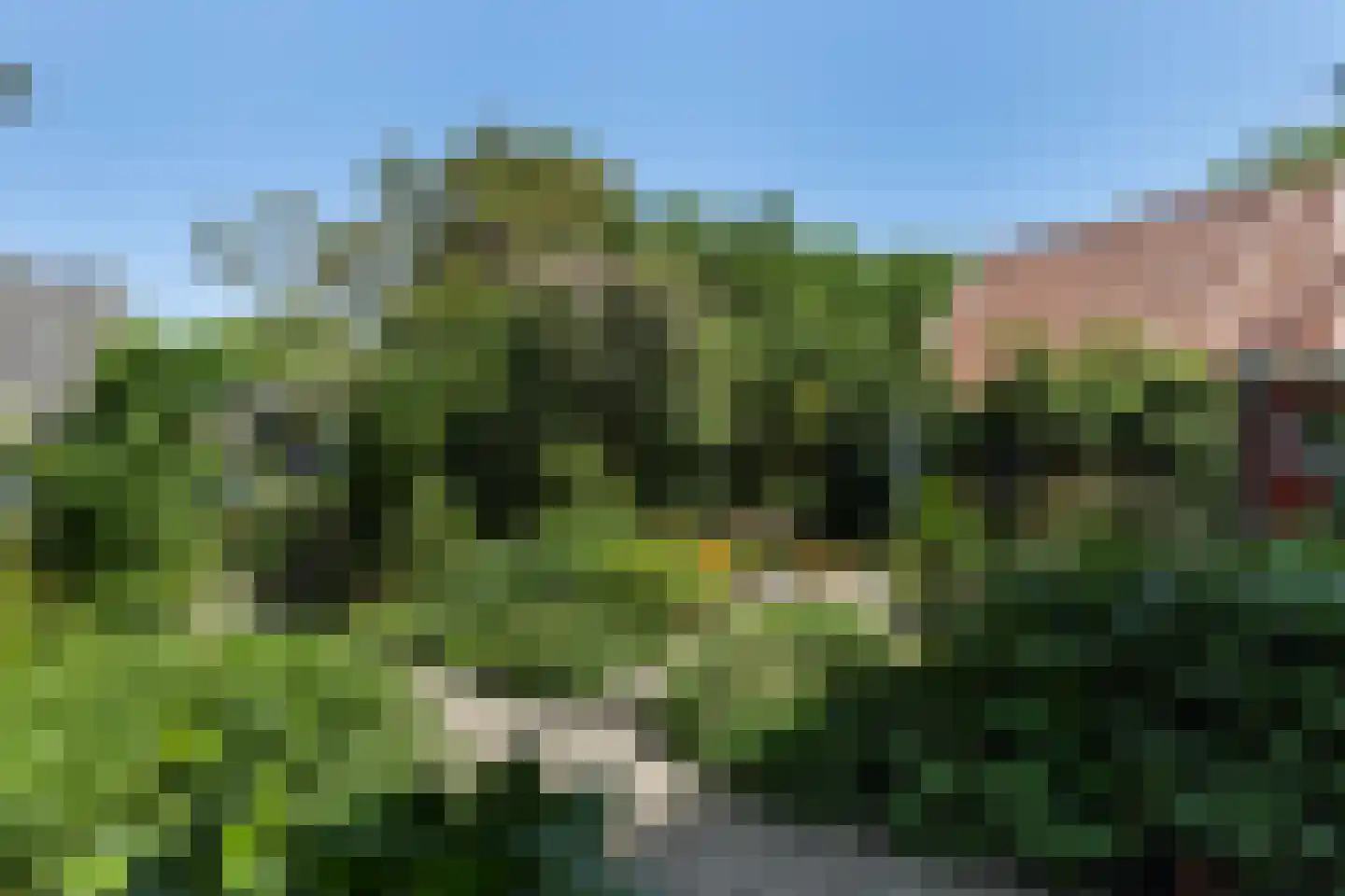 Buorren 17 Wytgaard thumbnail 11