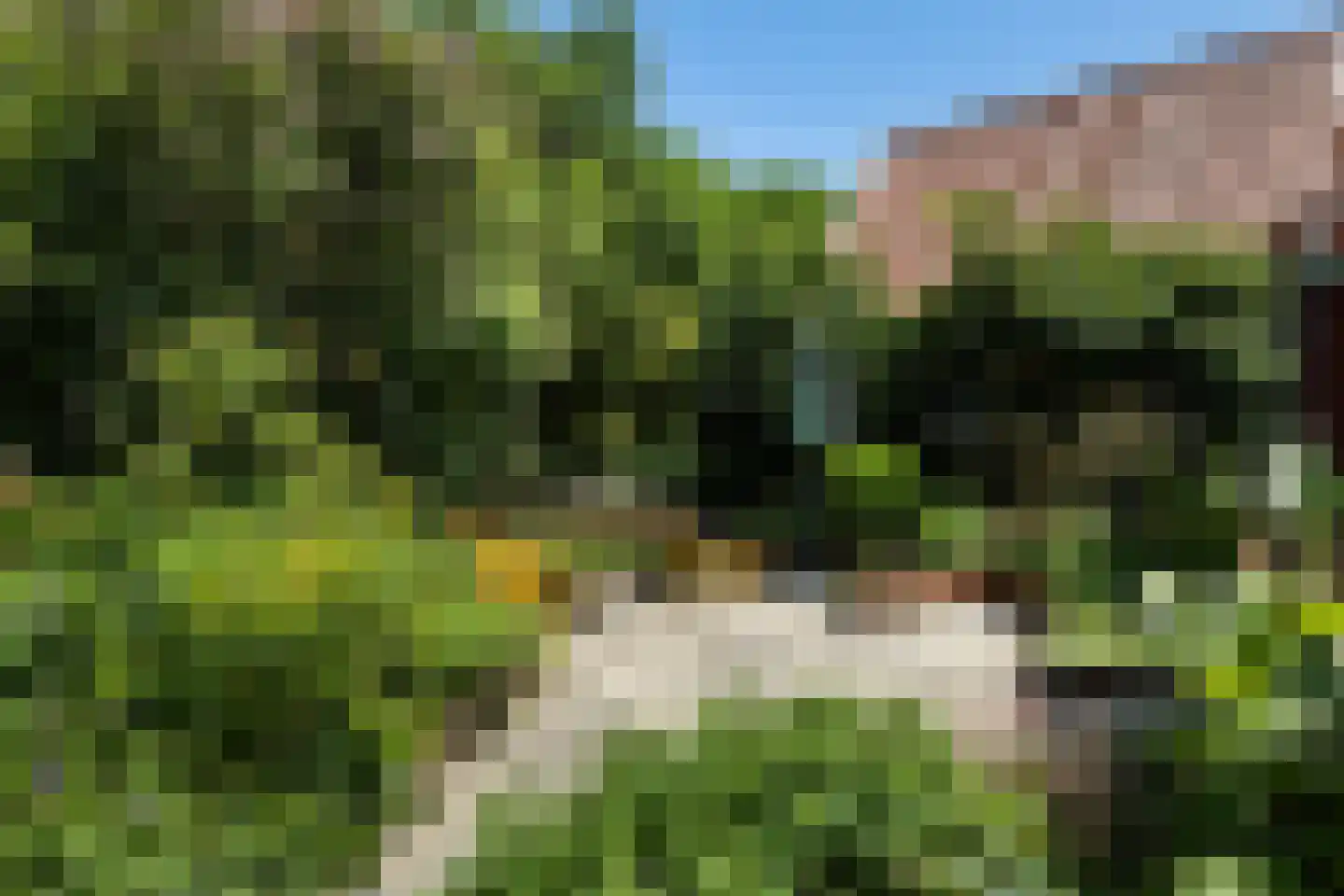 Buorren 17 Wytgaard thumbnail 12