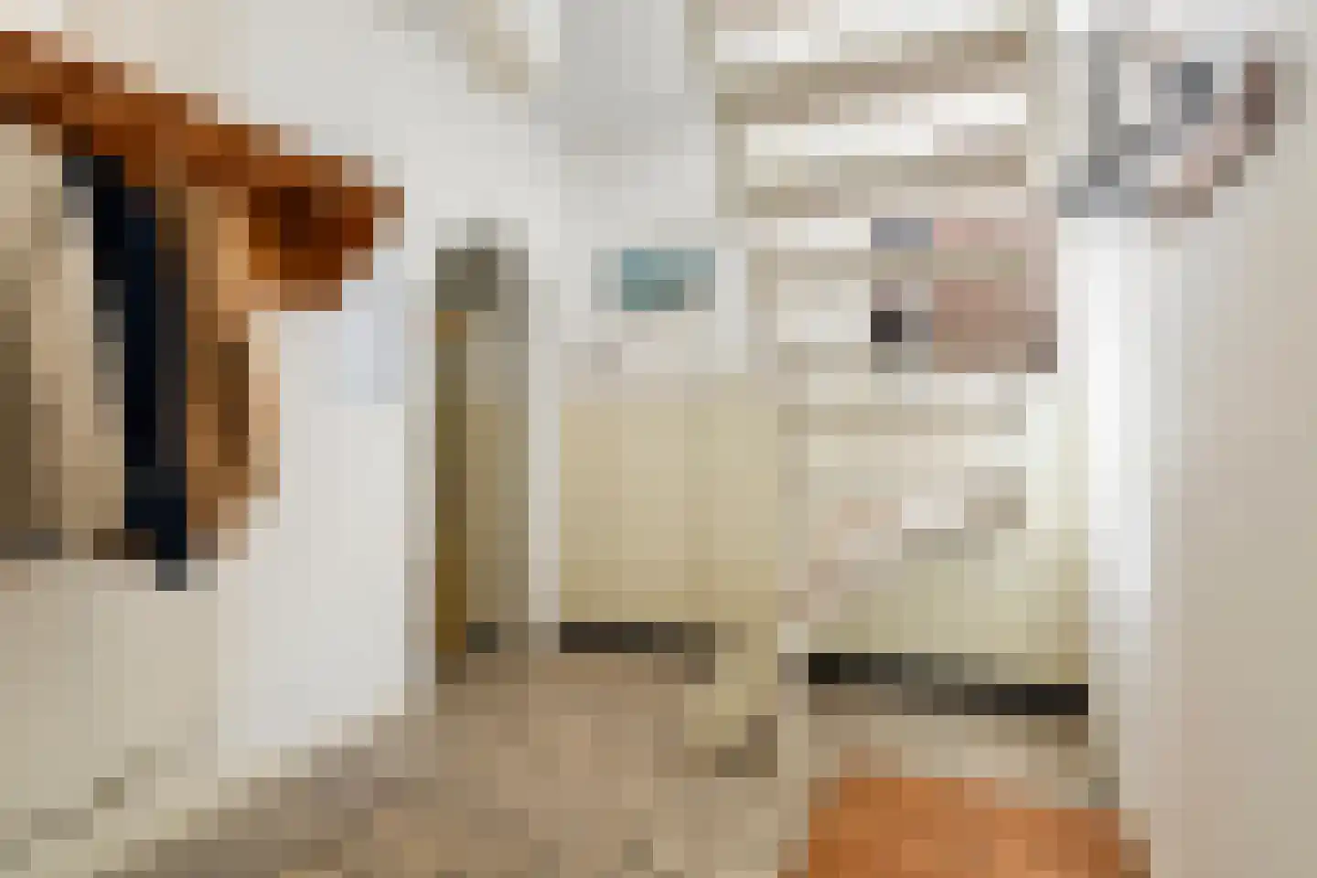 Buorren 17 Wytgaard thumbnail 24