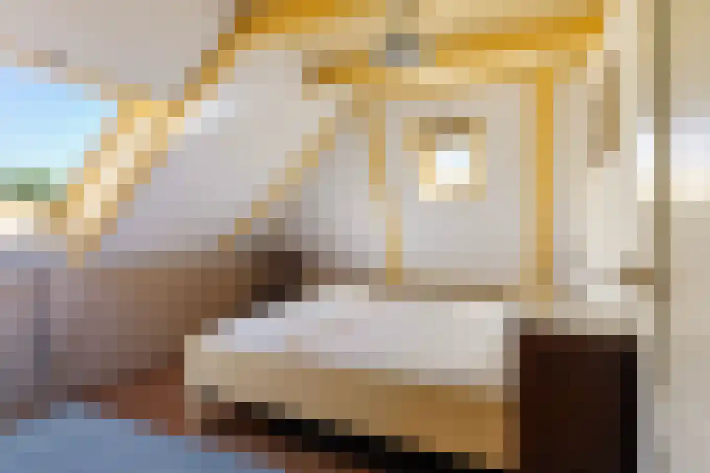 Buorren 17 Wytgaard thumbnail 27