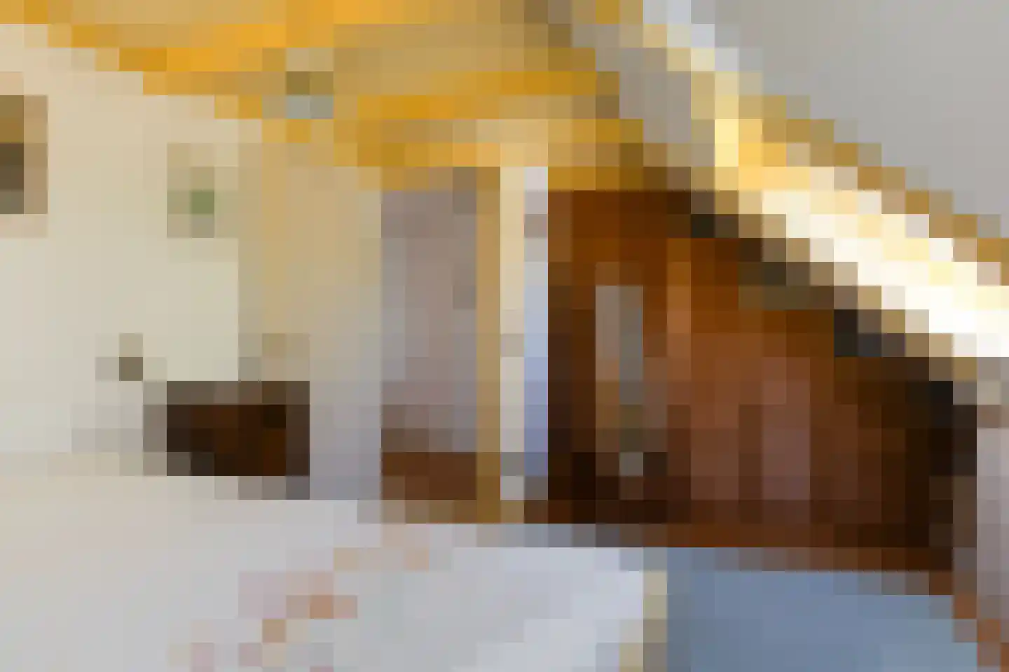 Buorren 17 Wytgaard thumbnail 28