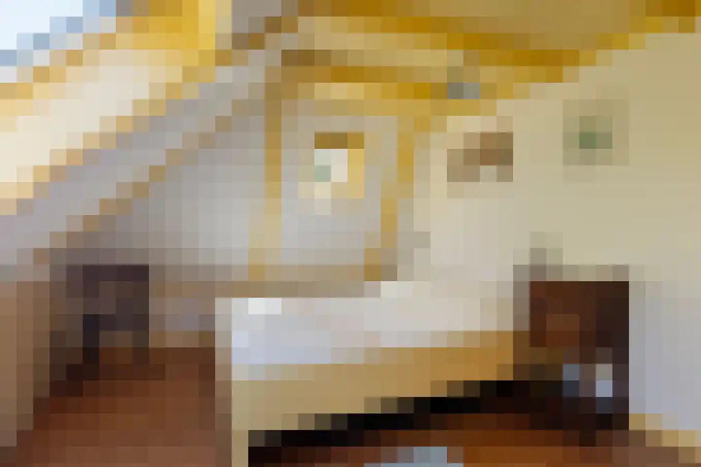 Buorren 17 Wytgaard thumbnail 29
