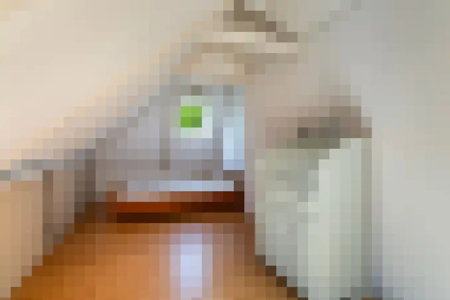 Buorren 17 Wytgaard thumbnail 33