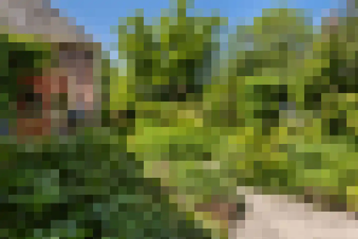 Buorren 17 Wytgaard thumbnail 44