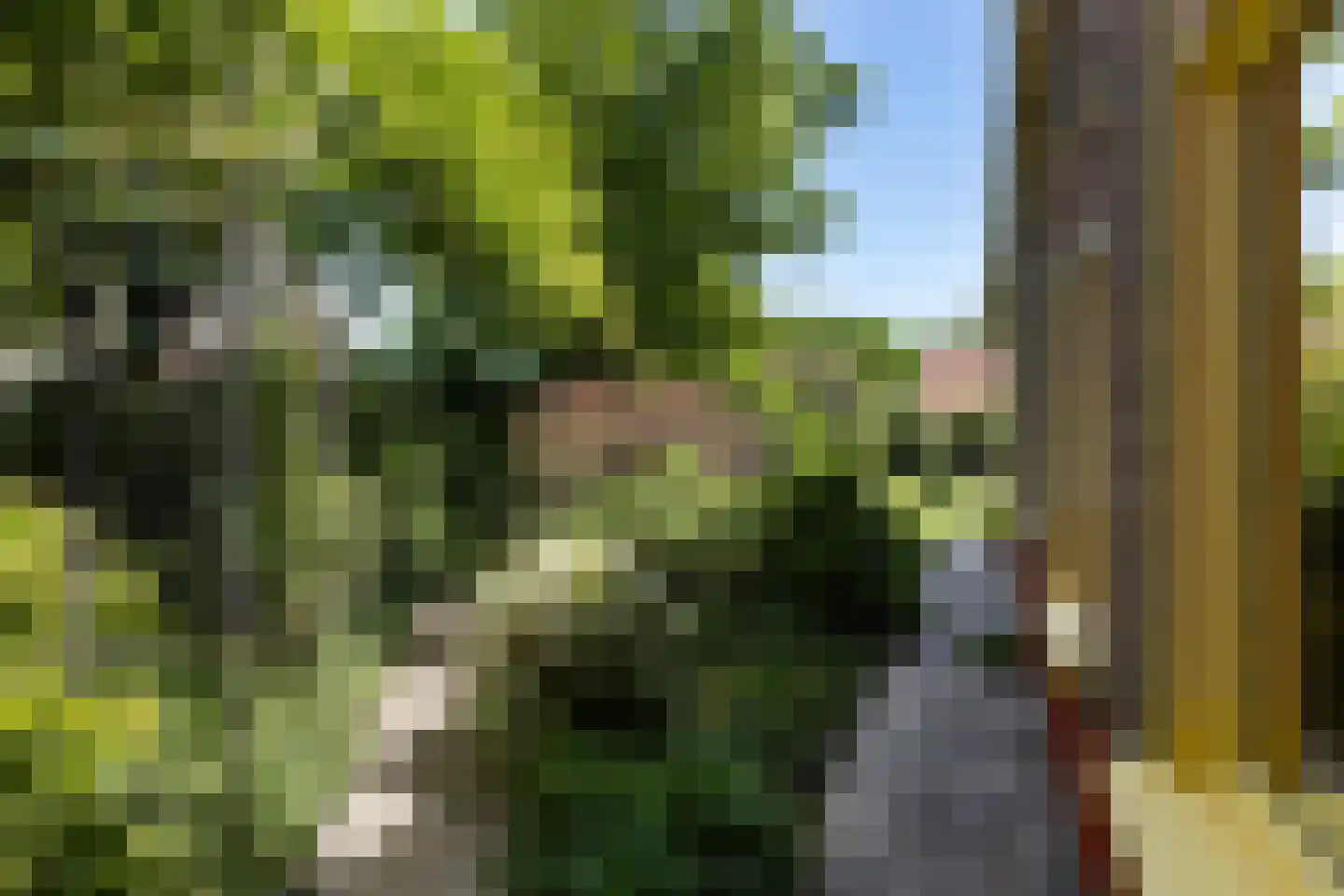 Buorren 17 Wytgaard thumbnail 45