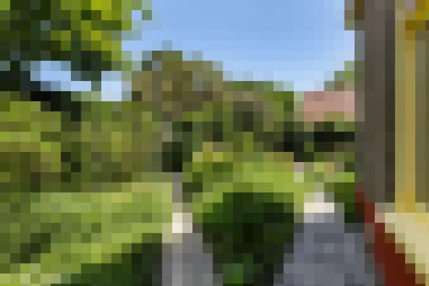Buorren 17 Wytgaard thumbnail 46