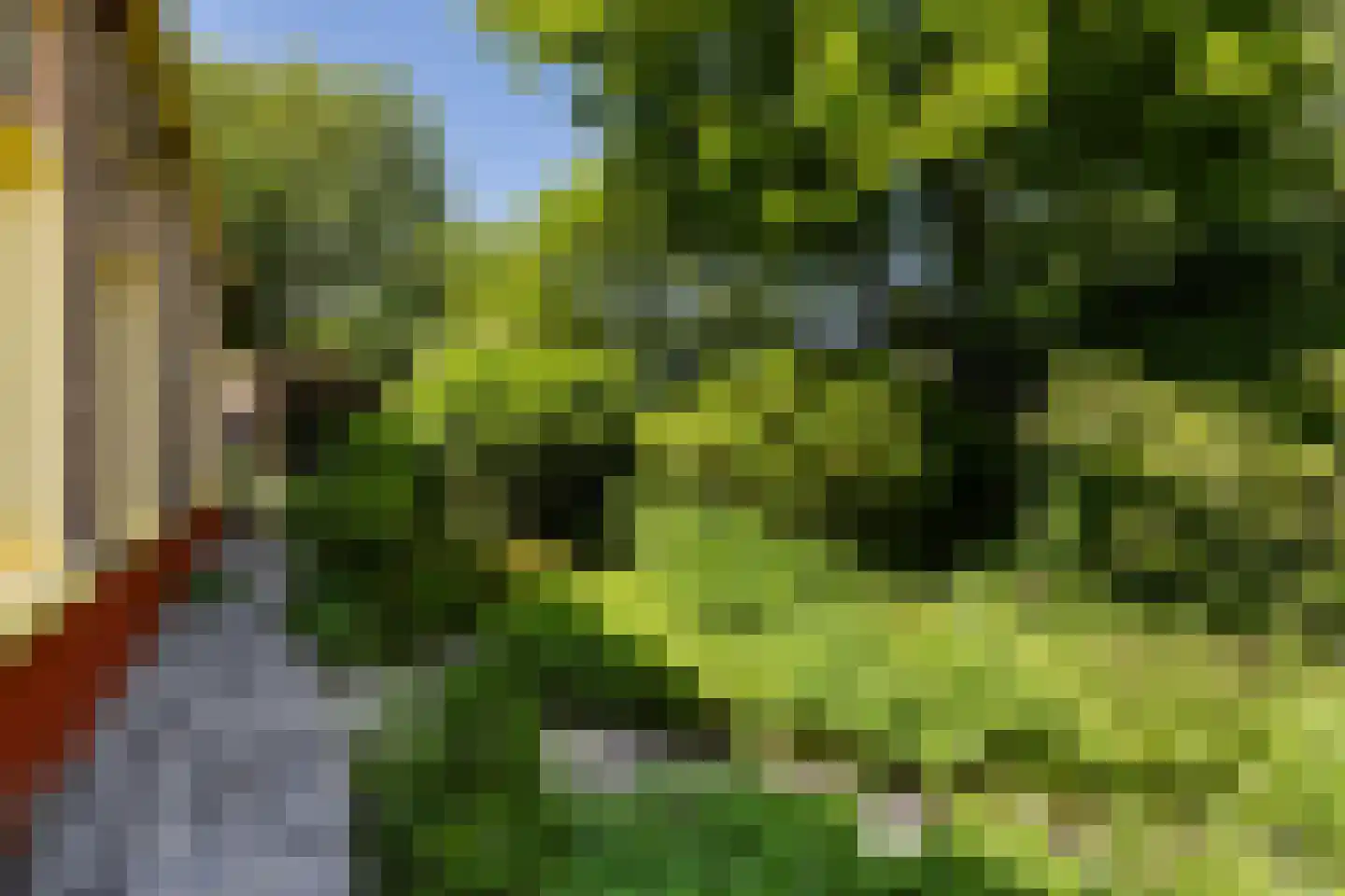 Buorren 17 Wytgaard thumbnail 47