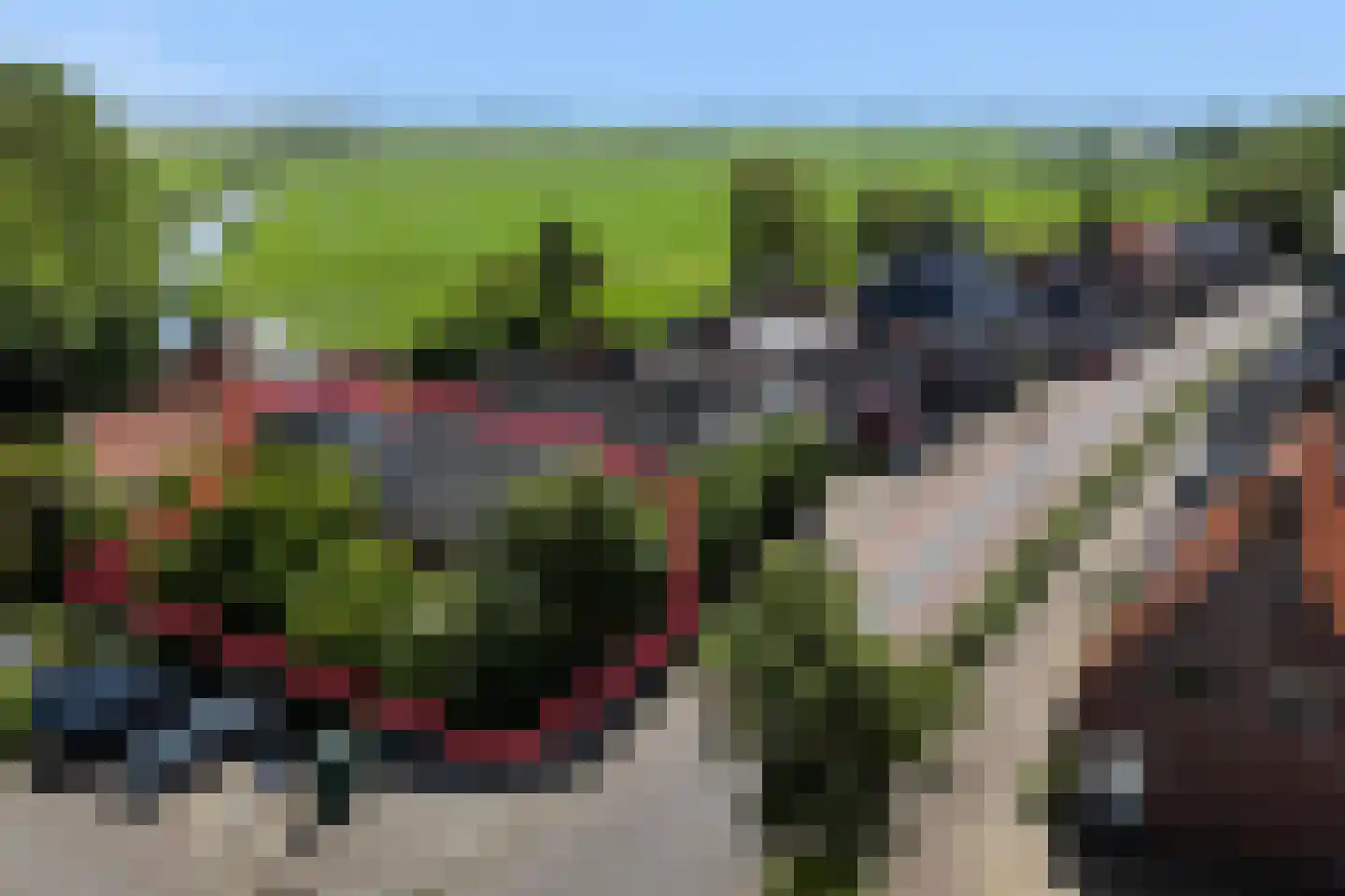 Buorren 17 Wytgaard thumbnail 50
