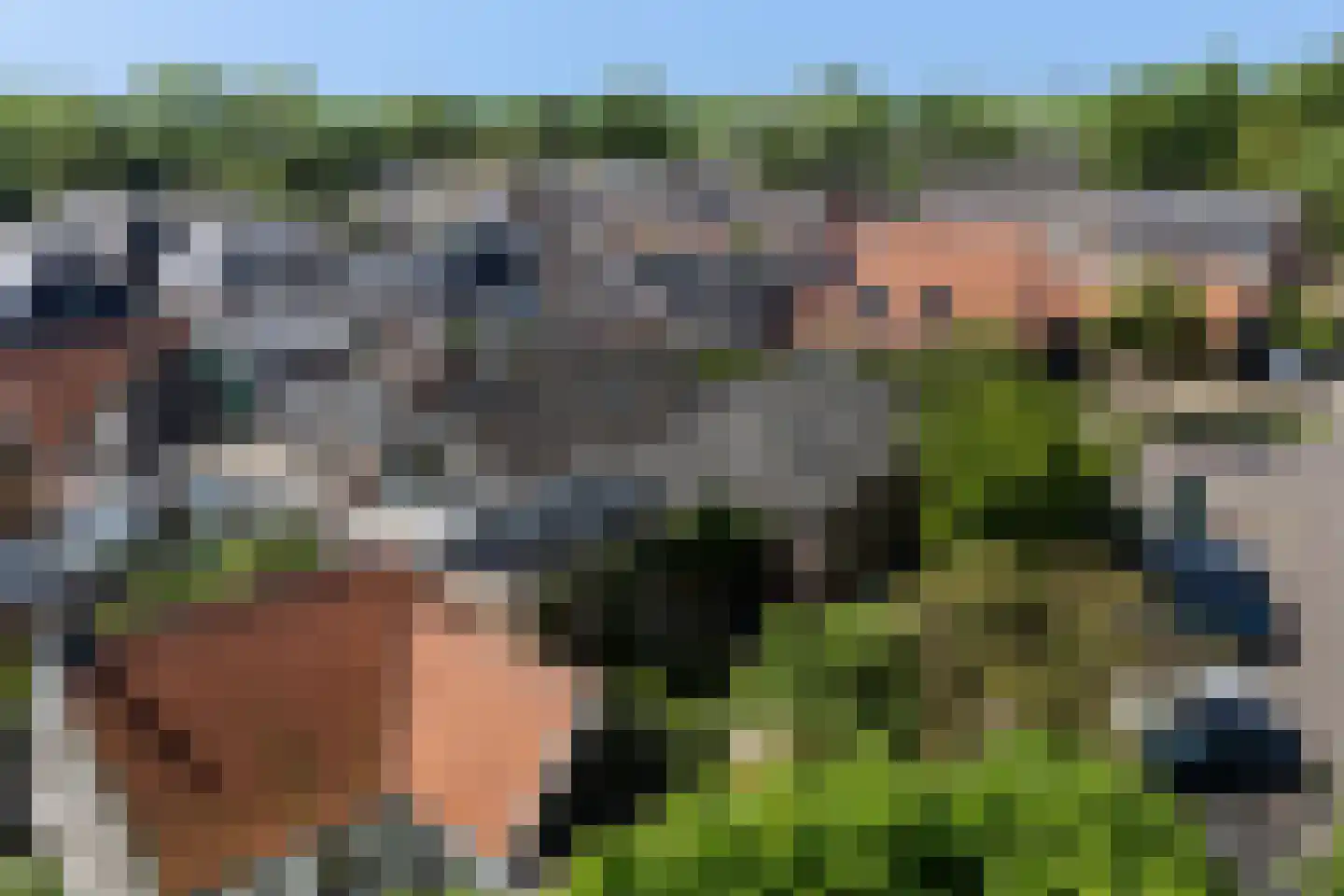 Buorren 17 Wytgaard thumbnail 51