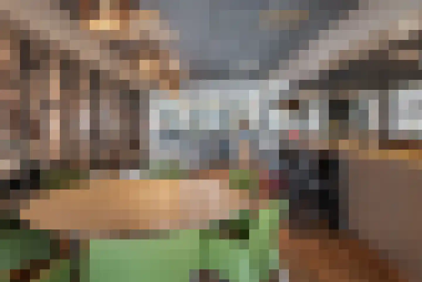 Buorren 20 Langweer thumbnail 13