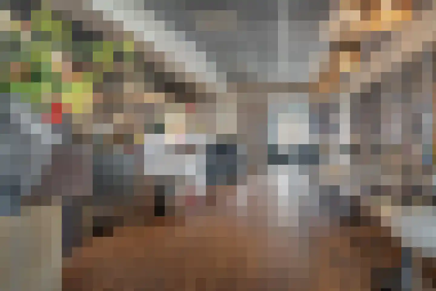 Buorren 20 Langweer thumbnail 22
