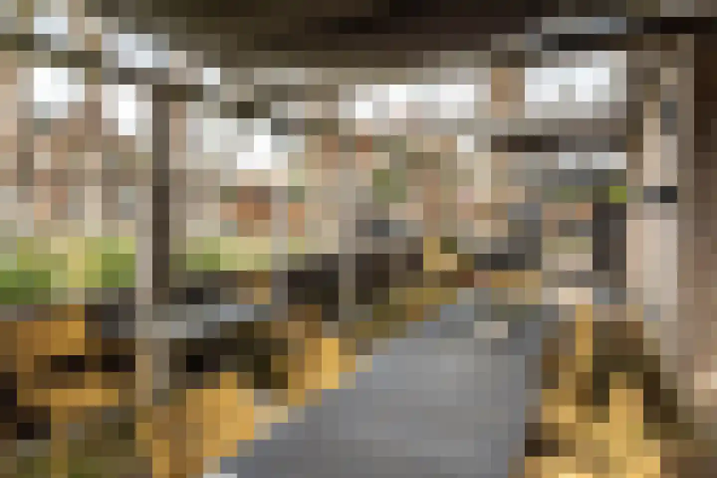 Buorren 20 Langweer thumbnail 23