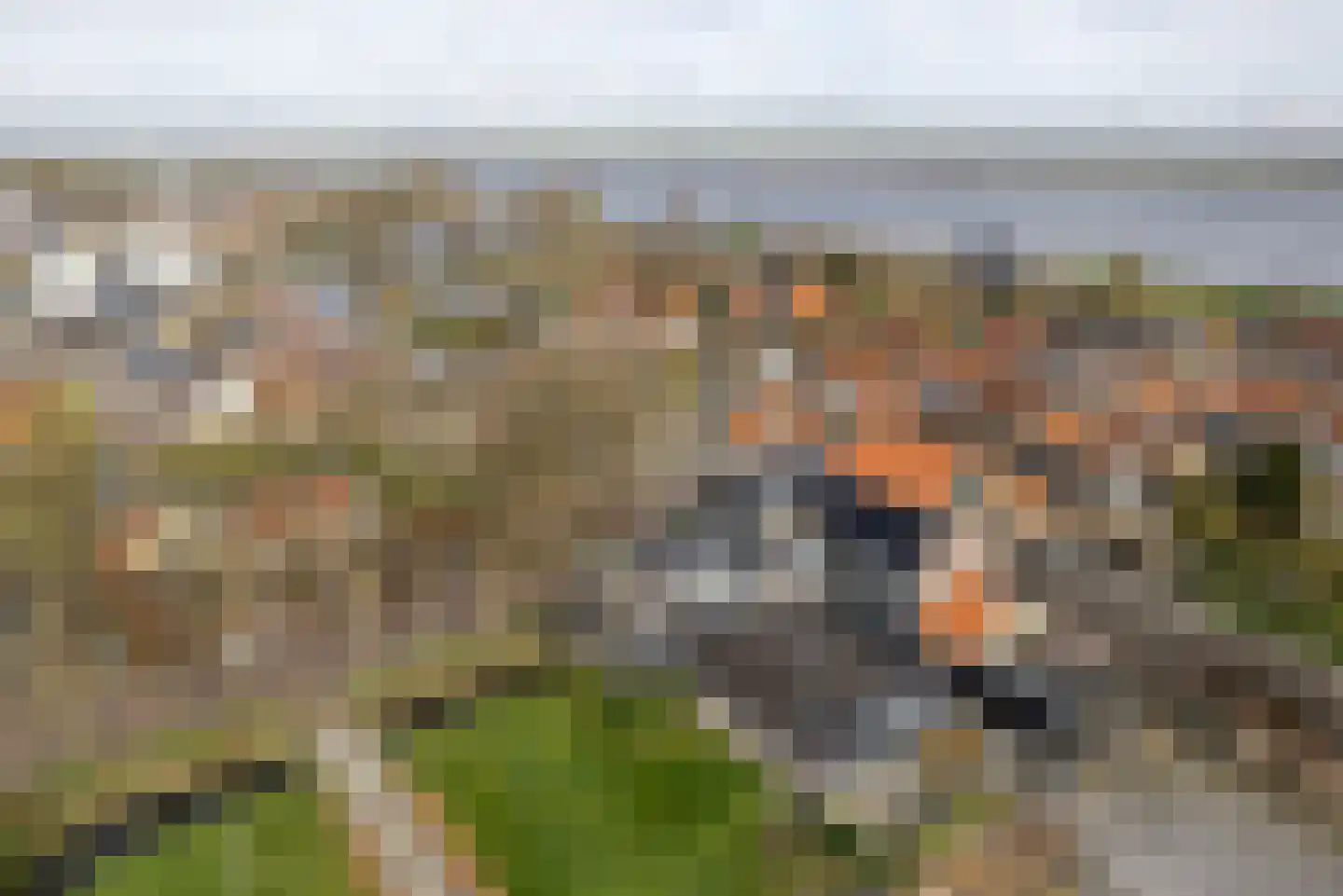 Buorren 20 Langweer thumbnail 25