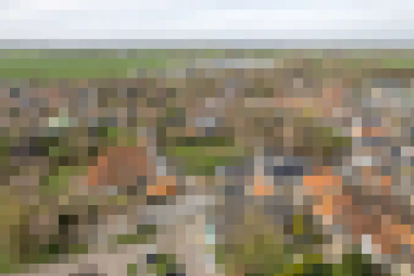 Buorren 20 Langweer thumbnail 27