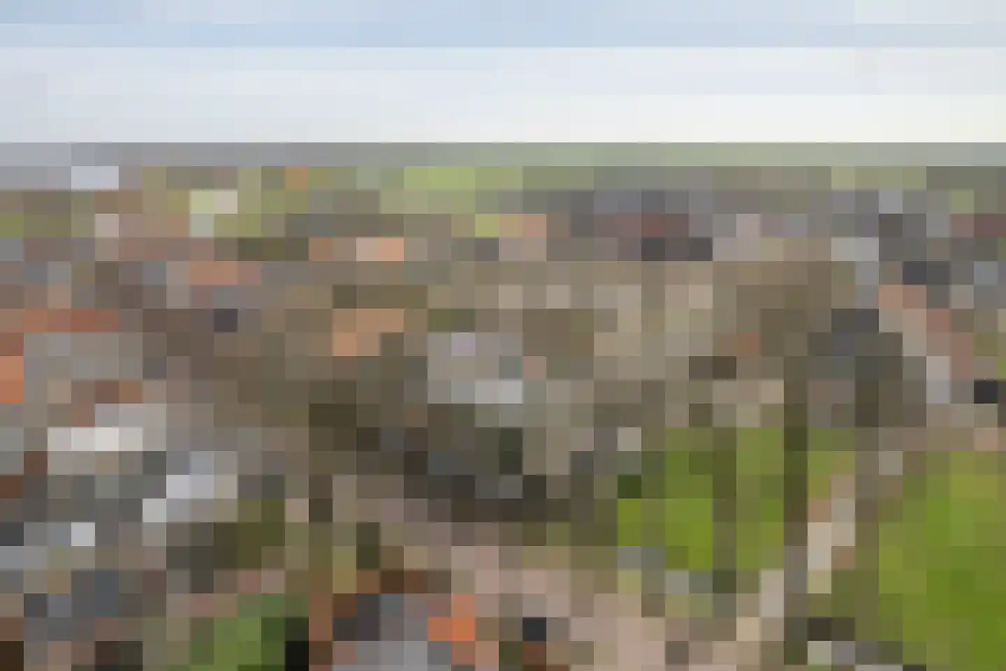 Buorren 20 Langweer thumbnail 28