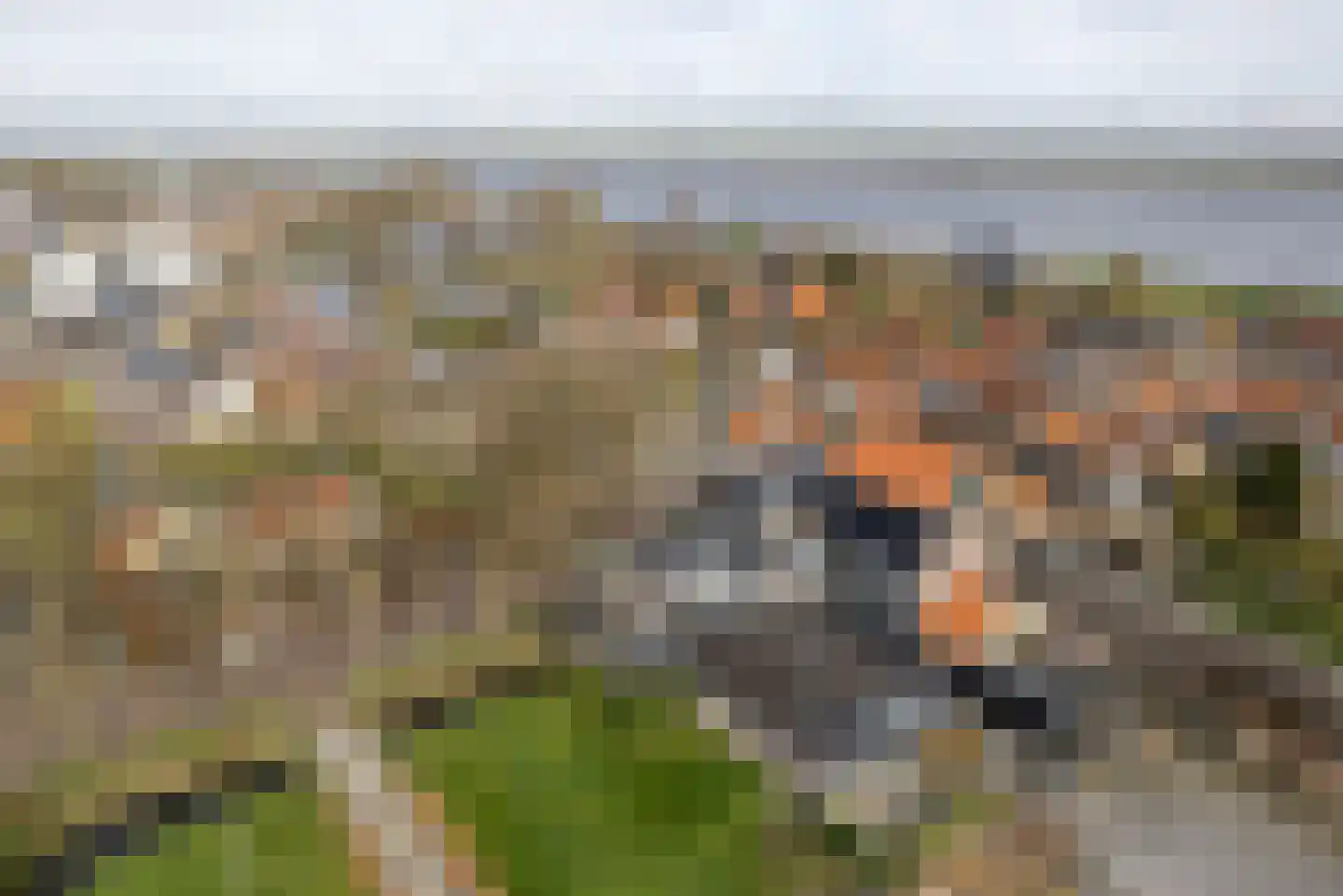 Buorren 20 Langweer thumbnail 29