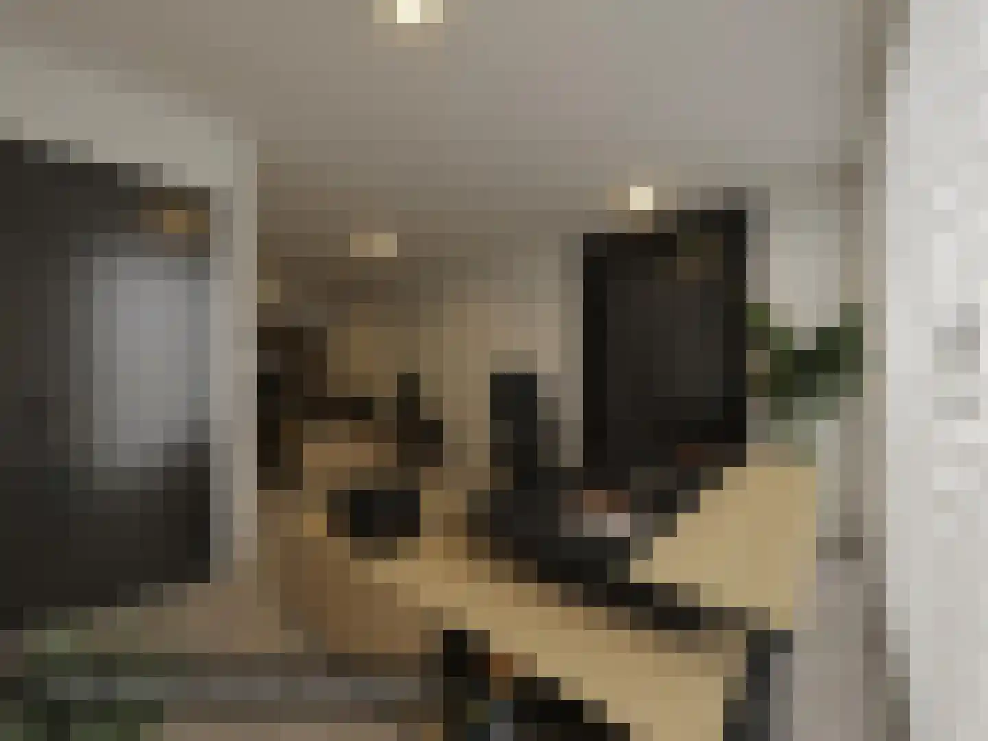 Buorren 20 Langweer thumbnail 5