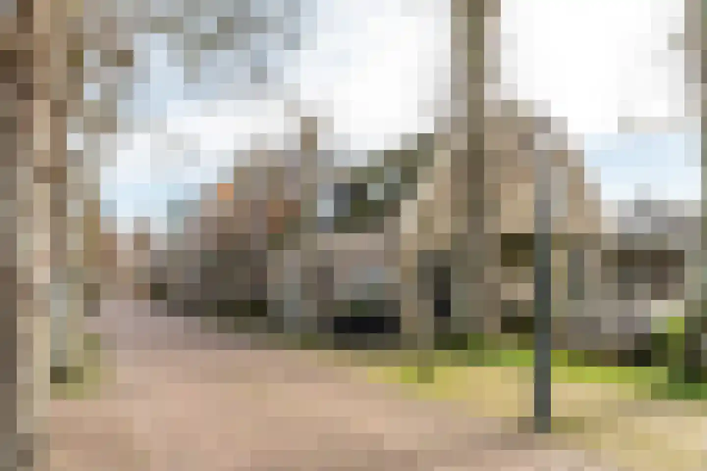 Buorren 20 Langweer thumbnail 7