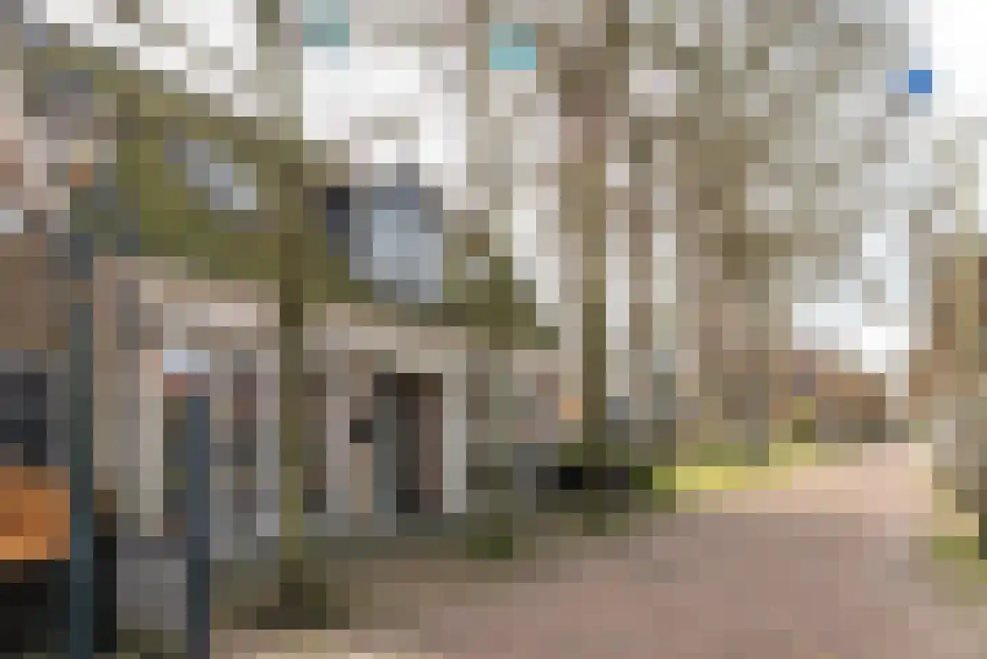 Buorren 20 Langweer thumbnail 8