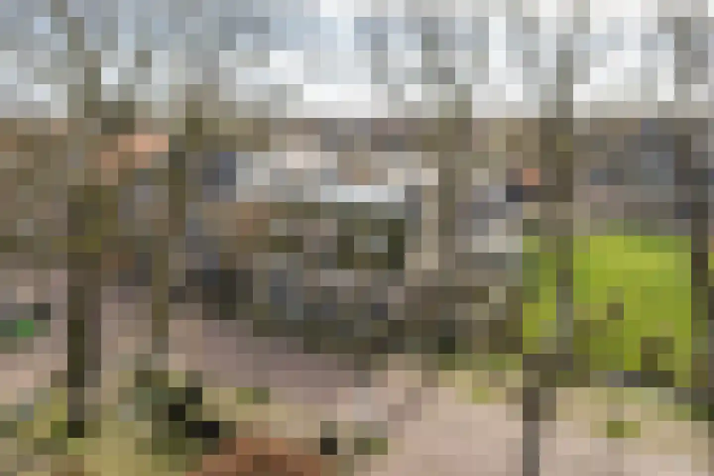 Buorren 20 Langweer thumbnail 9