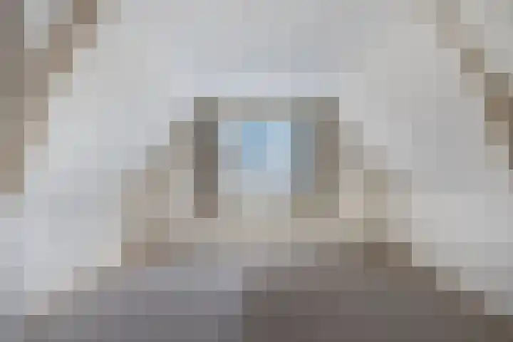 Buorren 20 Rien thumbnail 24
